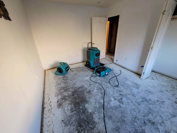 Best Fire Damage Restoration  in Walton Park, NY