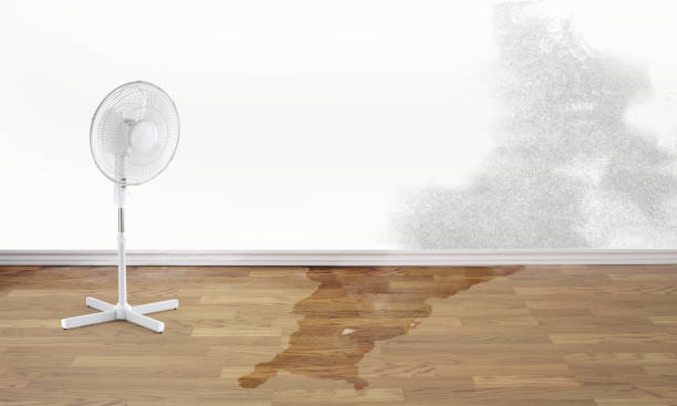  Walton Park, NY Water damage restoration Pros