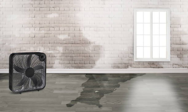 Best Water damage contractors near me  in Walton Park, NY