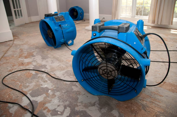 Best Water damage restoration near me  in Walton Park, NY